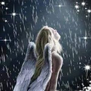 Meet your Posher, Michelle brown